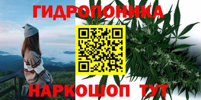 мдпв Бийск
