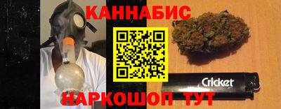 мдпв Бийск