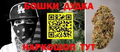 мдпв Бийск