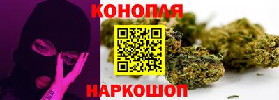 мдпв Бийск