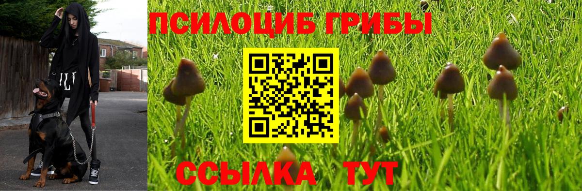 Ишим  Галлюциногенные грибы MAGIC MUSHROOMS  Вход с VPN  Псилоцибиновые грибы Psilocybine cubensis 